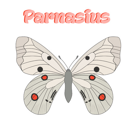 Butterfly parnasius cartoon doodle hand drawn vector illustrationのイラスト素材