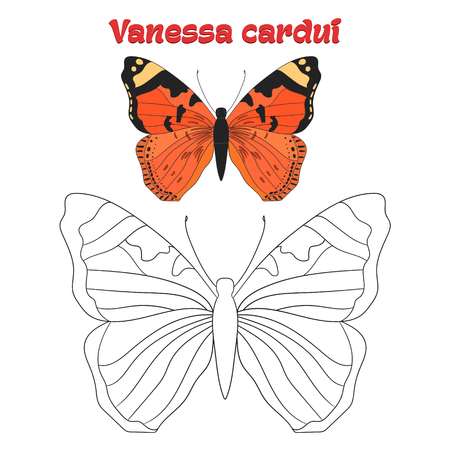 Educational game for children coloring book  butterfly cartoon doodle hand drawn vector illustrationのイラスト素材