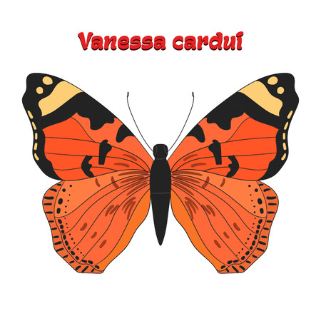 Butterfly vanessa cardui cartoon doodle hand drawn vector illustrationのイラスト素材
