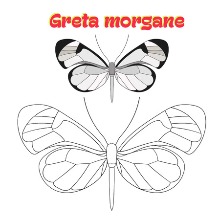 Educational game for children coloring book  butterfly cartoon doodle hand drawn vector illustrationのイラスト素材