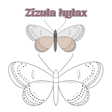 Educational game for children coloring book  butterfly cartoon doodle hand drawn vector illustrationのイラスト素材