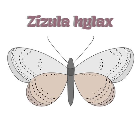 Butterfly zizula hylax cartoon doodle hand drawn vector illustrationのイラスト素材