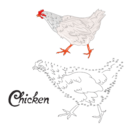 Educational game connect the dots to draw chicken bird cartoon doodle hand drawn vector illustrationのイラスト素材
