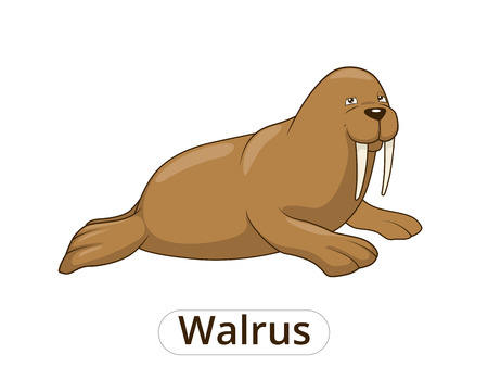 Walrus cartoon colorful funny hand drawn vector illustrationのイラスト素材