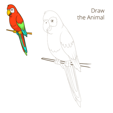 Draw the animal parrot educational game  vector illustrationのイラスト素材
