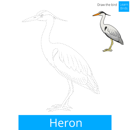 Heron learn birds educational game learn to draw vector illustrationのイラスト素材