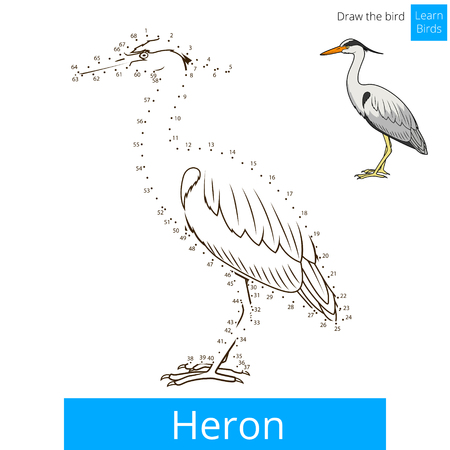 Heron learn birds educational game learn to draw vector illustrationのイラスト素材