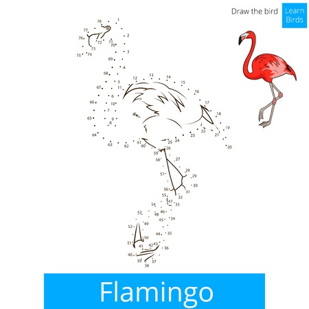 Flamingo learn birds educational game learn to draw vector illustrationのイラスト素材
