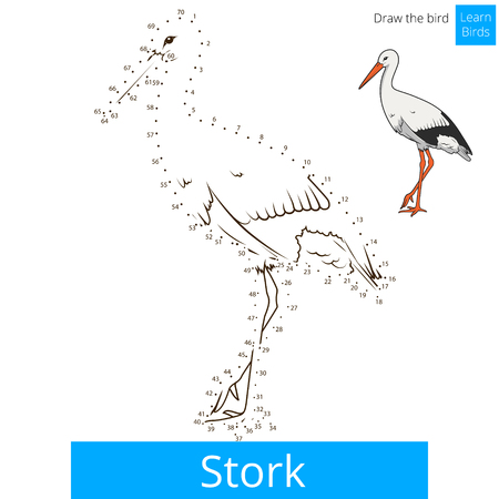 Stork learn birds educational game learn to draw illustrationのイラスト素材
