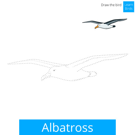 Albatross learn birds educational game coloring book illustrationのイラスト素材