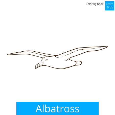 Albatross learn birds educational game coloring book illustrationのイラスト素材