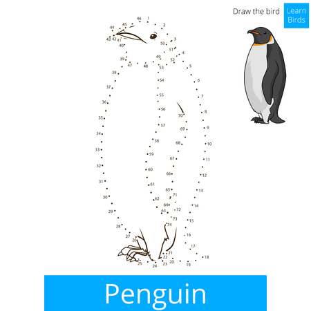 Penguin learn birds educational game learn to draw vector illustrationのイラスト素材