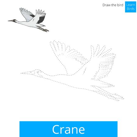 Crane learn birds educational game learn to draw vector illustrationのイラスト素材