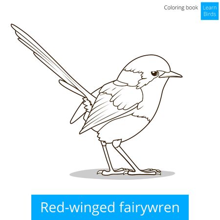 Red winged fairywren bird learn birds educational game coloring book vector illustrationのイラスト素材