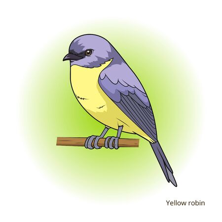 Red browed pardalote bird learn birds educational game vector illustrationのイラスト素材