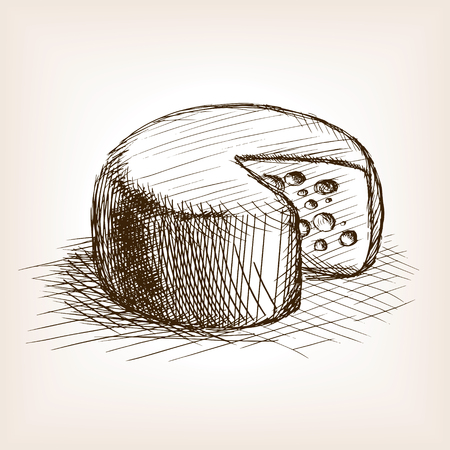 Cheese sketch style vector illustration. Old engraving imitation. Cheese hand drawn sketch imitationのイラスト素材
