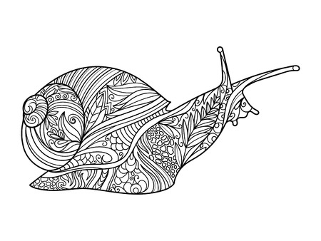 Snail coloring book for adults vector illustration.のイラスト素材