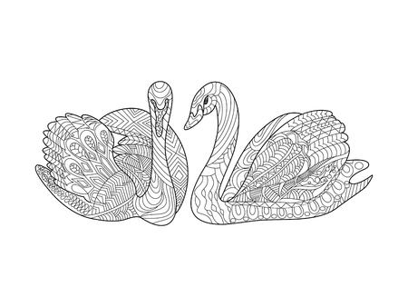 Swans birds coloring book for adults vector illustration. Anti-stress coloring for adult. Zentangle style. Black and white lines. Lace patternのイラスト素材