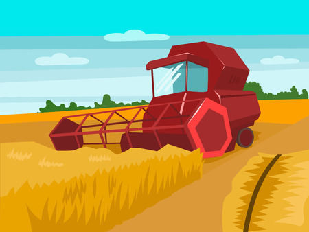Harvester gather wheat. Harvesting landscape. Cartoon colorful vector illustrationのイラスト素材