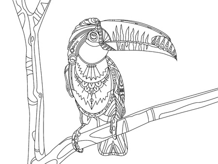 Toucan bird coloring book vector illustration.   Black and white lines. Lace patternのイラスト素材