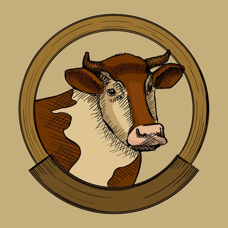 Label for cow meat. Hand drawn sketch style vector illustrationのイラスト素材