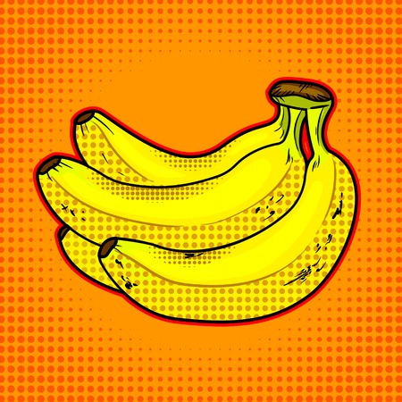 Bananas fruit vector illustrationのイラスト素材