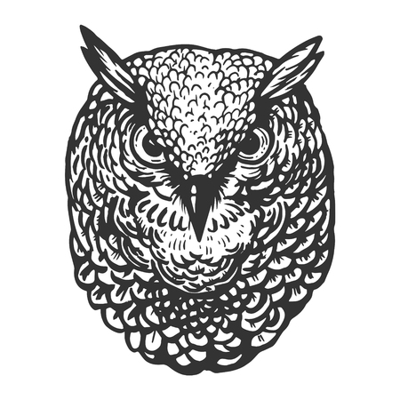 Owl bird head animal engraving vector illustration. Scratch board style imitation. Black and white hand drawn image.の写真素材