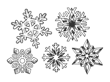 Snowflake set sketch sketch engraving vector illustration. Scratch board style imitation. Black and white hand drawn image.のイラスト素材