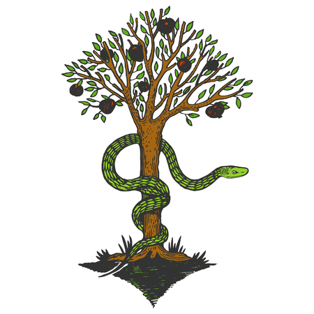 Snake and apple tree of life sketch color engraving vector illustration. Scratch board style imitation. Hand drawn image.のイラスト素材