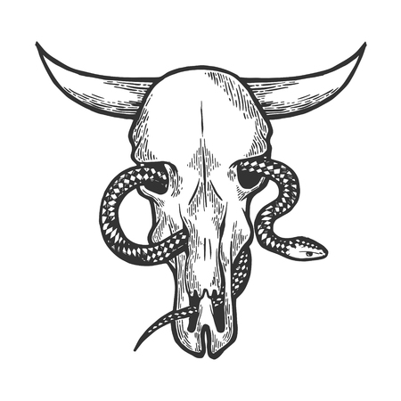 Snake in cow skull sketch engraving vector illustration. Scratch board style imitation. Black and white hand drawn image.のイラスト素材