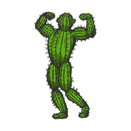 Cactus man posing color sketch engraving vector illustration. Scratch board style imitation. Black and white hand drawn image.のイラスト素材