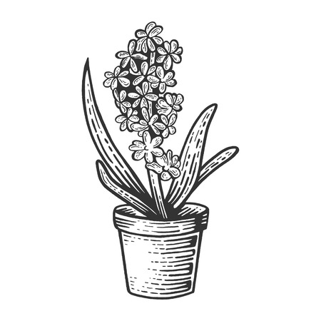Hyacinth flower sketch engraving vector illustration. Scratch board style imitation. Black and white hand drawn image.のイラスト素材