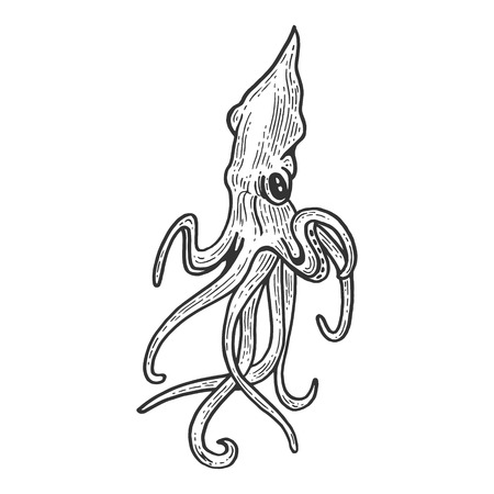 Squid animal sketch engraving vector illustration. Scratch board style imitation. Black and white hand drawn image.のイラスト素材