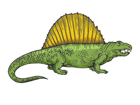 Dimetrodon dinosaur prehistoric extinct animal color sketch engraving vector illustration. Scratch board style imitation. Black and white hand drawn image.のイラスト素材