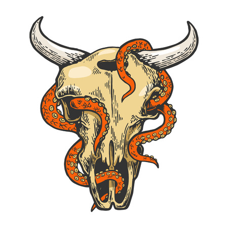 Octopus in cow skull color sketch vectorのイラスト素材