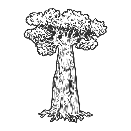 Baobab monkey bread tree sketch engraving vector illustration. Scratch board style imitation. Hand drawn image.のイラスト素材