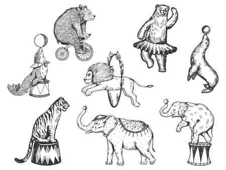 Retro circus animals performance set r sketch vector illustration. Old hand drawn engraving imitation. Human and animals vintage drawingsの販売画像