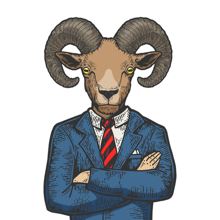 Ram head businessman color sketch engraving vector illustration. Scratch board style imitation. Black and white hand drawn image.のイラスト素材