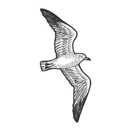 Seagull bird animal sketch engraving vector illustration. Scratch board style imitation. Hand drawn image.のイラスト素材
