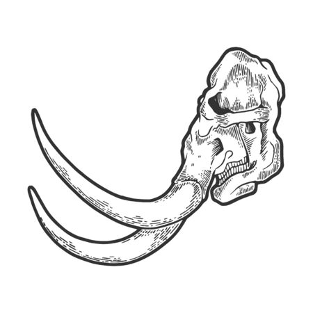 Mammoth skull skeleton bone sketch engraving vector illustration. Tee shirt apparel print design.のイラスト素材