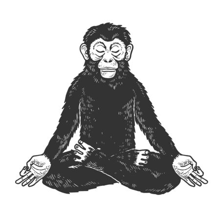 Chimpanzee monkey meditating in Lotus position sketch engraving vector illustration.のイラスト素材
