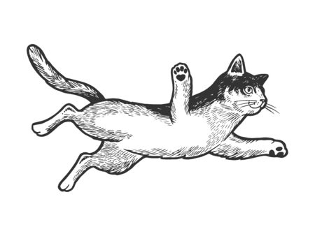 Jumping cat animal flies sketch engraving vector illustration. Tee shirt apparel print design. Scratch board style imitation. Black and white hand drawn image.のイラスト素材