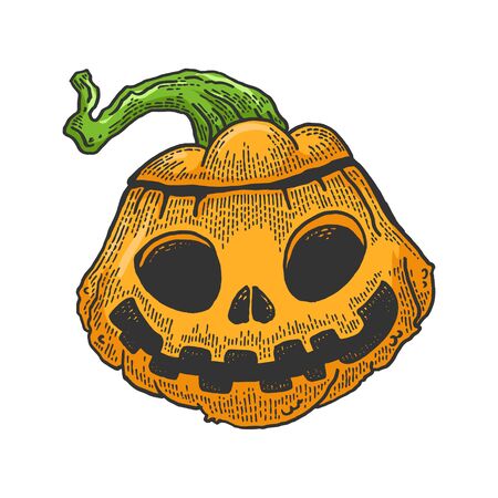 Halloween pumpkin sketch engraving vector illustration. Jack o lantern. T-shirt apparel print design. Scratch board style imitation. Black and white hand drawn image.のイラスト素材