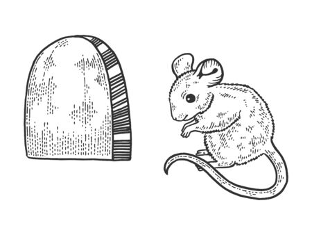 Mouse and hole in the wall sketch engraving vector illustration. T-shirt apparel print design. Scratch board style imitation. Black and white hand drawn image.のイラスト素材