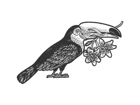 toucan and lilies sketch engraving vector illustration. T-shirt apparel print design. Scratch board style imitation. Hand drawn image.のイラスト素材