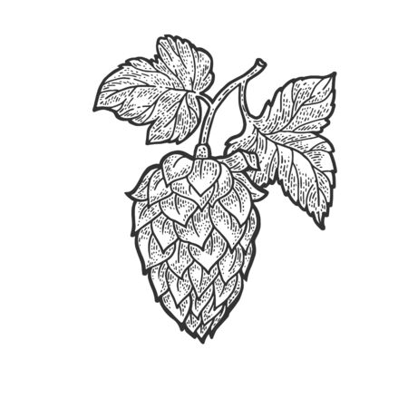 hop cone beer ingredient sketch engraving vector illustration. T-shirt apparel print design. Scratch board imitation. Black and white hand drawn image.のイラスト素材