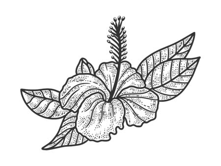 Hibiscus flower sketch engraving vector illustration. T-shirt apparel print design. Scratch board imitation. Black and white hand drawn image.のイラスト素材