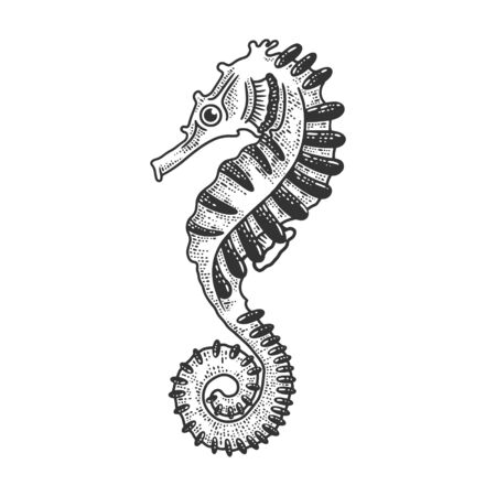 Seahorse sea animal sketch engraving vector illustration. T-shirt apparel print design. Scratch board imitation. Black and white hand drawn image.のイラスト素材