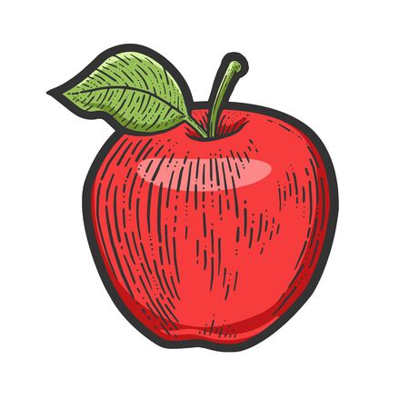 Apple fruit color sketch engraving vector illustration. T-shirt apparel print design. Scratch board imitation. Black and white hand drawn image.のイラスト素材