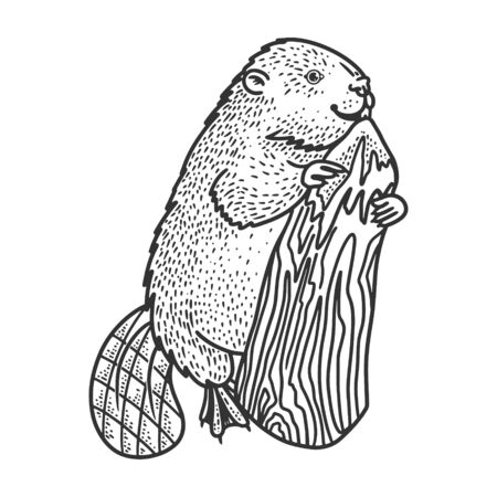 beaver and tree sketch engraving vector illustration. T-shirt apparel print design. Scratch board imitation. Black and white hand drawn image.のイラスト素材